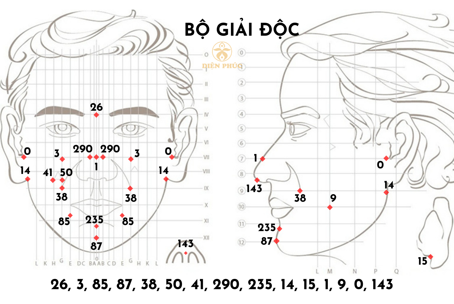 Bộ giải độc diện chẩn