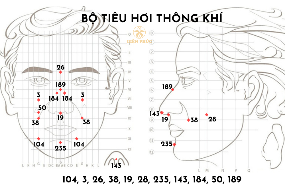 Bộ huyệt tiêu hơi thông khí