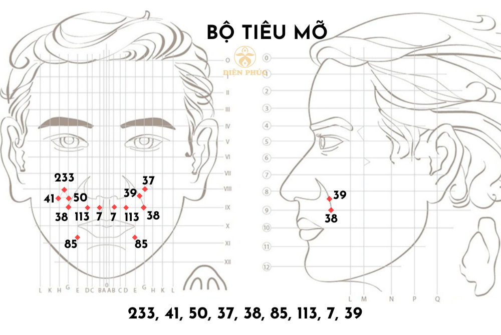 bộ huyệt tiêu mỡ diện chẩn