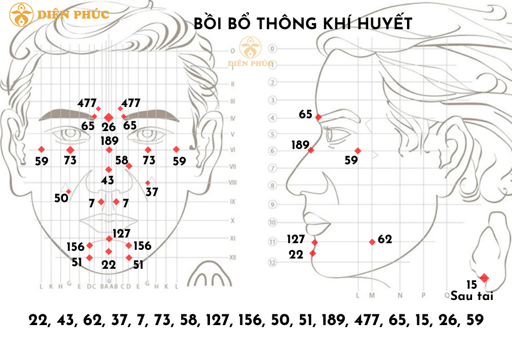 Phác đồ bồi bổ thông khí huyết