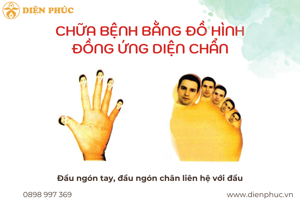 đầu ngón tay, đầu ngón chân liên hệ với đầu